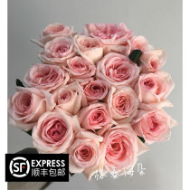 【格桑花】新鲜单头玫瑰大花苞系粉玫瑰荔枝清香A级优质玫瑰
