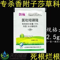 剑隆75%氯吡嘧磺隆 水稻小麦玉米高粱莎草专用农药香附子净除草剂