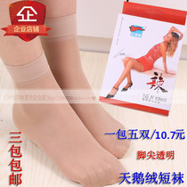 正品红辣椒短丝袜2562夏季薄款脚尖透明天鹅绒短袜子女袜丝袜对袜