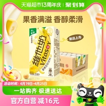【新品上市】维他奶香蕉豆奶饮料250ml*24盒植物蛋白饮料整箱
