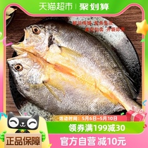 闽峡冷冻水产黄花鱼杀好黄鱼鲞5只每只半斤新鲜三去加热即可烹饪
