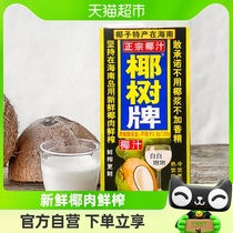 椰树椰汁正宗椰树牌海南特产植物蛋白椰奶椰子汁饮料1000ml*1盒