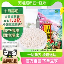 十月稻田糯米1kg东北圆糯米包粽子江米五谷杂粮端午粽子米