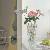 法式斜纹鲜花玻璃花瓶ins透明高级感富贵竹玫瑰插花水培客厅摆件
