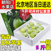 青森王林苹果5斤装礼盒装脆甜多汁水蜜桃青苹果当季时令新鲜水果