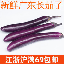 新鲜广东长茄子700g紫茄子eggplant 皮薄籽少 家常蔬菜青茄子煲