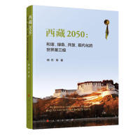 正版西藏2050和谐绿色开放现代化的世界第三极杨丹等著