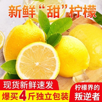 新鲜甜柠檬重庆黄柠檬当季水果绿色种植现摘皮薄护肤多汁包邮4斤