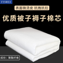可水洗太空棉被子被芯晴纶棉丝棉棉絮胎芯床垫冬季垫被褥棉花丝绵