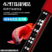 神灯龙鱼灯水族箱三基色防水鱼缸灯鹦鹉鱼红龙鱼专用增色灯