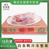 冰冻鸭子肉整只新鲜白条鸭生冷冻全鸭樱桃谷鸭10只22斤整箱烧烤鸭