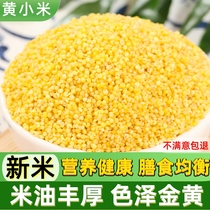 黄小米新米5斤农家自产食用粘黄小米粗粮五谷杂粮食软糯黄小米粥