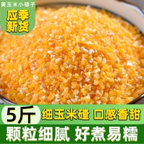 黄玉米碴小碴子5斤 农家自产黏包谷糯玉米碎苞米茬子珍珠玉米渣粥