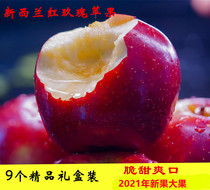 新西兰进口红玫瑰苹果QUEEN皇后9个大果甜脆水果新鲜新应季水果