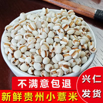 贵州特产兴仁薏仁米 农家自种意米仁新货五谷杂粮小薏米产地发货