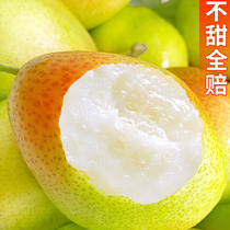山西早酥梨新鲜红香酥梨应季时令水果10当季脆甜多汁现摘香梨5斤