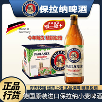 德国进口啤酒保拉纳柏龙啤酒Paulaner小麦白啤500ml5/20瓶精酿黑