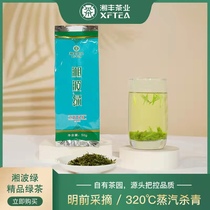 2024年新茶叶春茶湘丰精品特级绿茶50g袋装明前毛尖茶湖南长沙