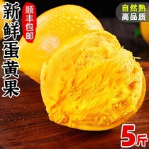 蛋黄果 新鲜顺丰包邮5斤海南鸡蛋果云南特产当季热带稀有高端水果