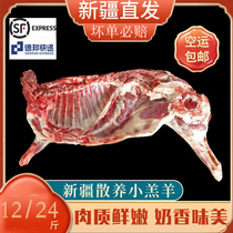 新疆羊肉新鲜12斤半只羊全羊整只现杀羊腿羊排羊蝎子火锅烧烤包邮