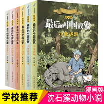最后的中国战象 漫画版6册 签名卡片沈石溪动物小说 象群的征途小象拔刺小学生四五六年级课外阅读书籍必读书儿童文学