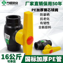 PE钢芯球阀HDPE阀门20 4分25 6分32PE给水饮用水管材管件配件