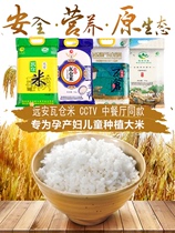 远安瓦仓大米晚稻有机新米中餐厅宜昌冷水米水香壹号米谷物10斤