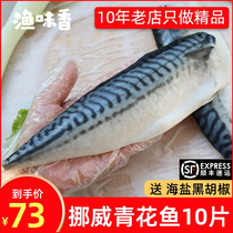 青花鱼挪威进口青鱼日式鲭鱼片鲅鱼片青占鱼深海鱼冷冻顺丰包邮