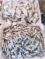 缅甸盐巴鱼地方特色咸鱼整条自然晾晒风干可油炸鱼干德宏瑞丽发货