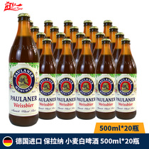 进口啤酒德国柏龙白啤保拉纳柏龙普拉娜白啤500ml*20瓶整箱装聚会