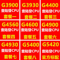 G3900 G3930 G4400T G4560 4600 G4900 G4930 G5400 G5420 CPU