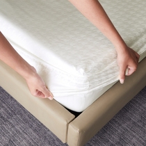 网红全棉床笠单件1.2m1.5米1.8纯棉床罩席梦思防滑床垫保护套单层
