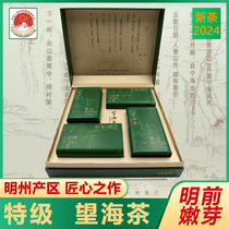 特级望海茶2024年明前新茶250克礼盒装农场直销高山绿茶宁海特产