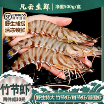 斑节虾竹节虾海鲜黑虎虾基围虾特大超大虾鲜活速冻水产海虾水产