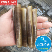 15-18只1斤 鲜活竹节蛏海鲜 新鲜竹蛏手指蛏竹蛏大蛏子水产