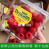 当季怡颗树莓2盒-12盒网红覆盆子红梅鲜果孕妇新鲜水果顺丰包邮