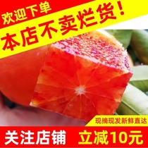 长寿湖血橙子 新鲜水果当季整箱红心塔罗科玫瑰血脐8.5斤非中华红