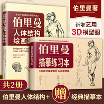 当当网 赠伯里曼描摹练习本 伯里曼人体结构绘画教学 3D模型对比素描基础教程 理解人体形态基础入门 人体结构造型手绘解剖技法书