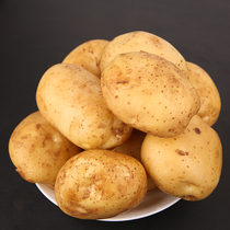 内蒙武川县黄皮土豆农家自种黄心土豆产地新鲜马铃薯农产品包邮
