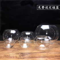 玻璃花瓶透明圆球龙蛋绿萝吊兰圆形花盆水培绿植器皿鱼缸送定植篮
