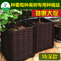 特深种植箱 长方形阳台种菜盆 大型花盆槽架 种果树蔷薇葡萄 特价