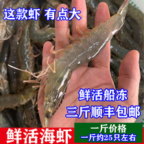 海鲜水产鲜活虾速冻大海虾超大野生基围虾冷冻对虾500g