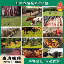 肉牛养殖场畜牧业屠宰场加工牛肉制品高清实拍视频素材