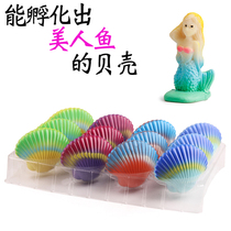 泡水膨胀会变大可孵化出美人鱼海洋动物的扇贝壳儿童创意盲盒玩具