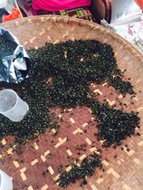 2020年涌溪火青新茶 半斤250g 约260元／斤