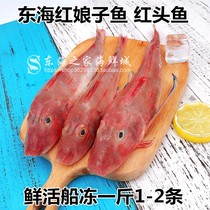 东海红头鱼新鲜红娘子鱼深海鱼冷冻海鲜水产品1-2条无冰衣500g重