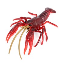仿真海洋生物动物实心模型新款龙虾大龙虾小龙虾儿童早教玩具摆件