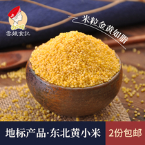 当季新鲜米东北农家黄小米 杂粮食用月子米非沁州龙山 黄米400g