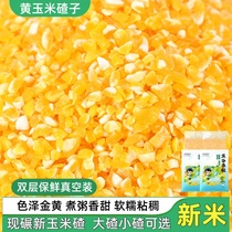 新玉米渣玉米碴小碴子5斤农家笨大碴子苞米糁棒子糁粗粮五谷杂粮