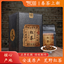 甲石山 2021新茶春茶传统荒野红茶安溪原产地 浓香型 包装罐装
